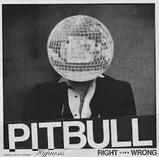 pitbullmusic.com